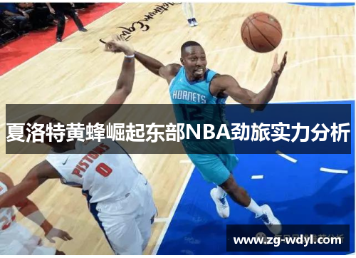 夏洛特黄蜂崛起东部NBA劲旅实力分析